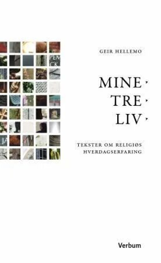 Mine tre liv av Geir Hellemo