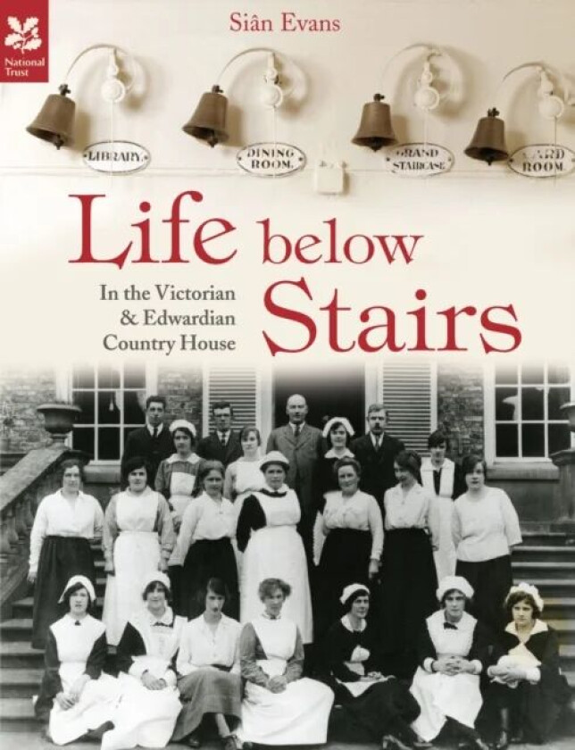 Life Below Stairs av Sian Evans