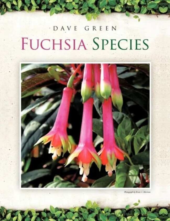 Fuchsia Species av Dave Green