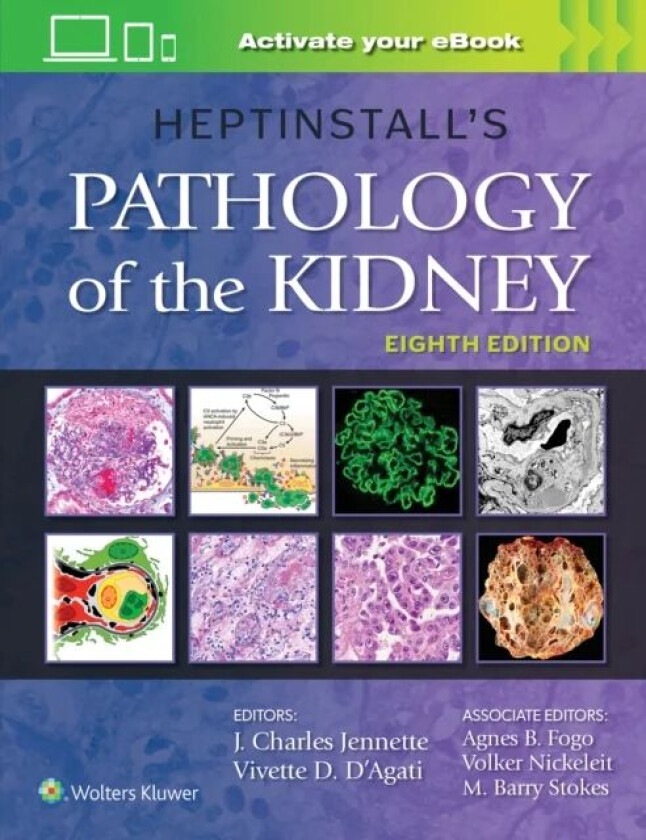 Heptinstall's Pathology of the Kidney av J. Charles Jennette, Vivette D. D'Agati