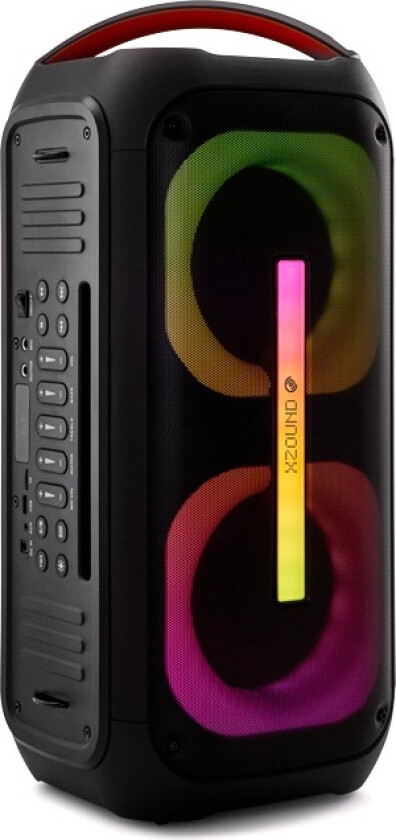 PS67 DUAL 6.5" party speaker