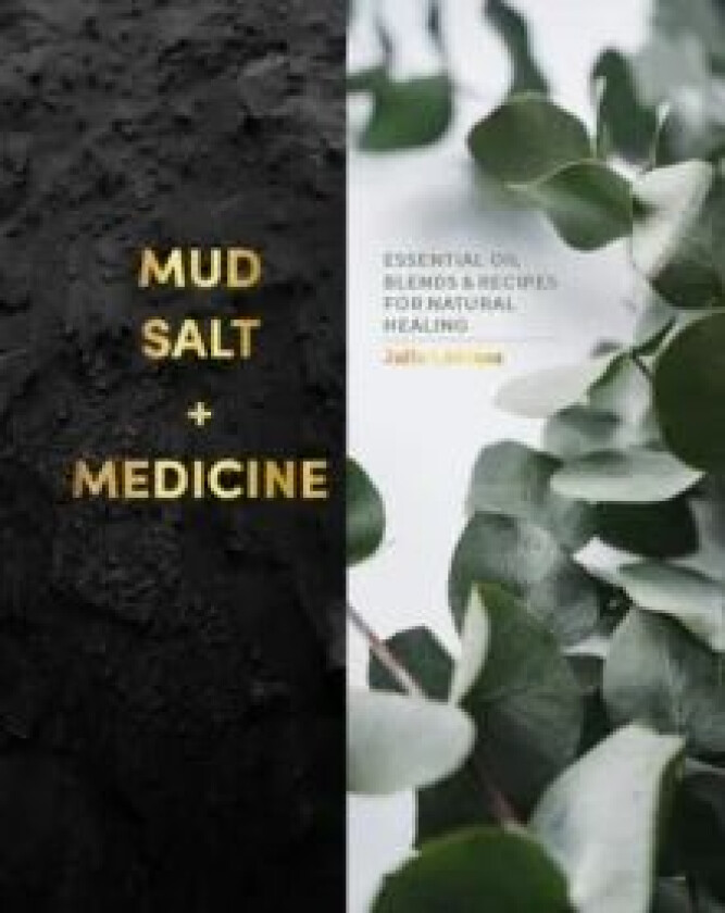 Mud, Salt and Medicine av Julia Lawless