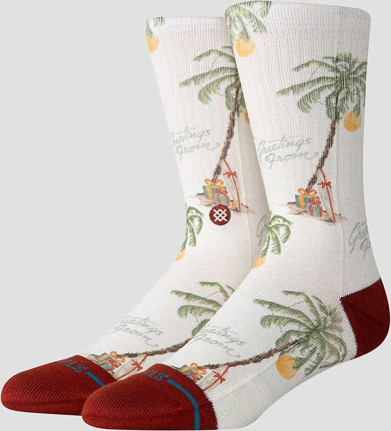 Greetings From Socks svart