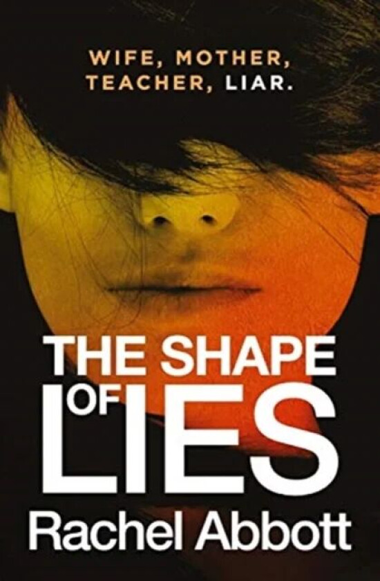 The Shape of Lies av Rachel Abbott