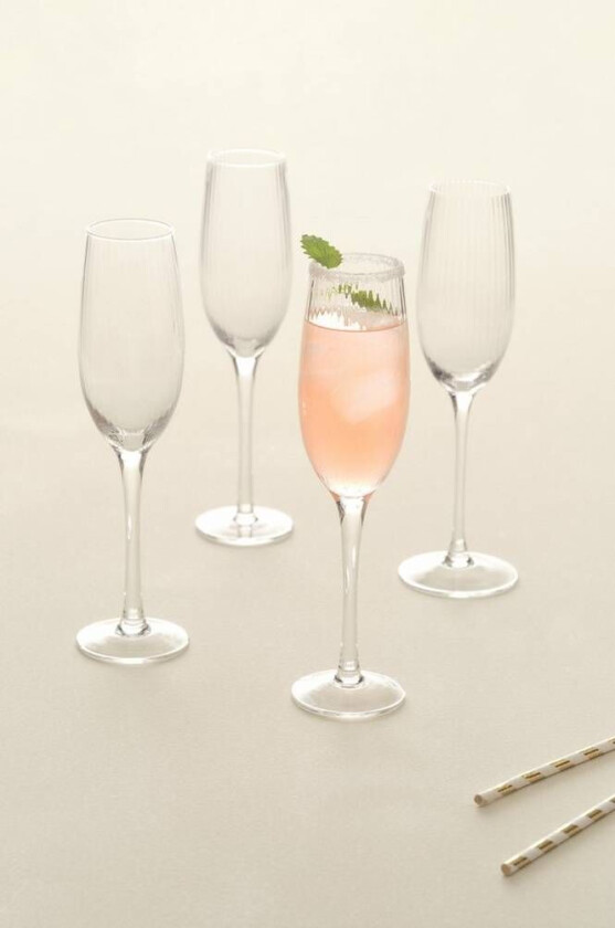 MAXIM champagneglass 4-pk Transparent