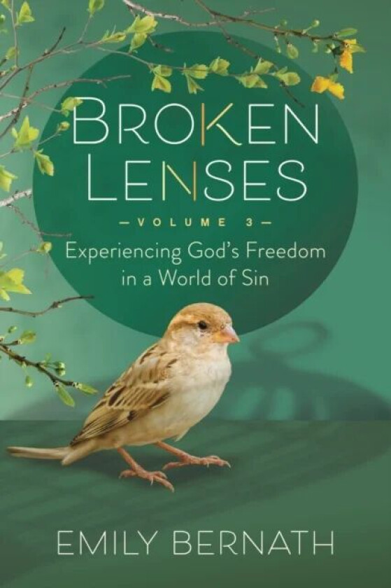 Broken Lenses, Volume 3 av Emily Bernath