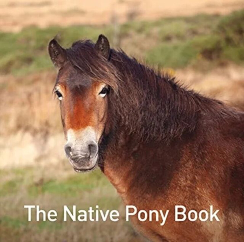 The Native Pony Book av Jane Russ