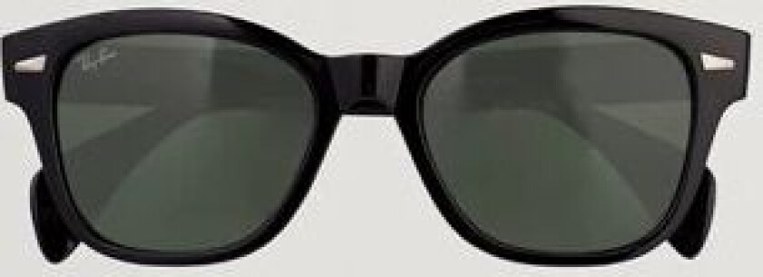 0RB0880S Sunglasses Black