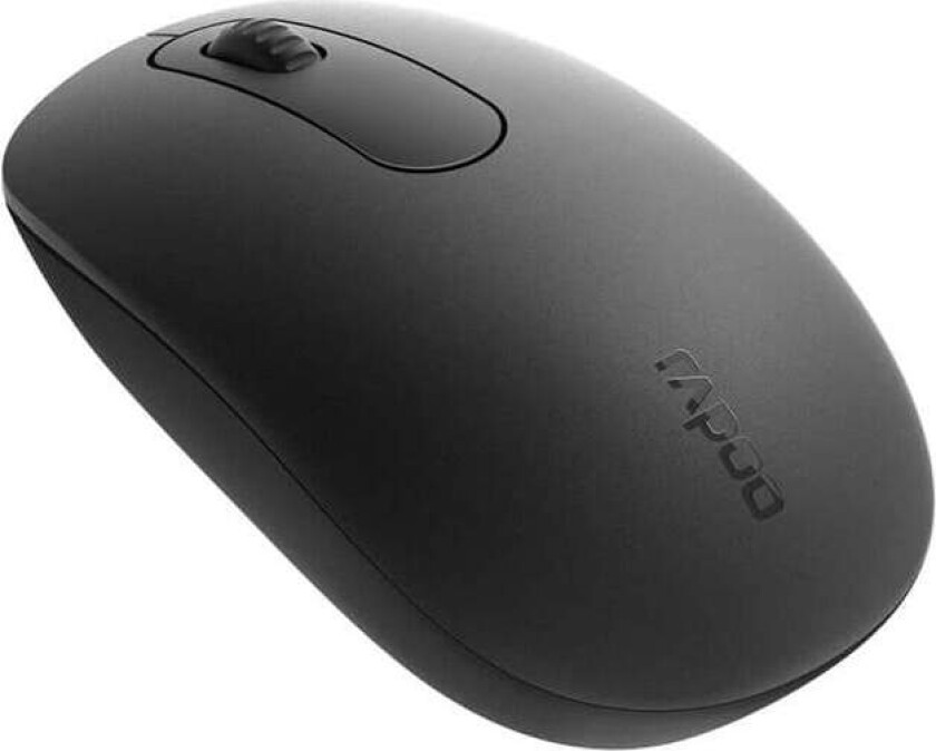 RAPOO Mus N200 Kablet USB Svart