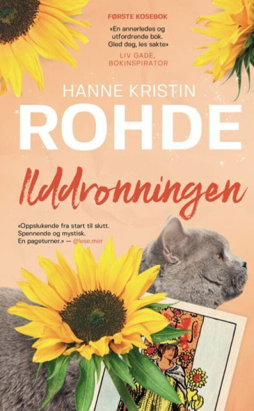 Ilddronningen av Hanne Kristin Rohde