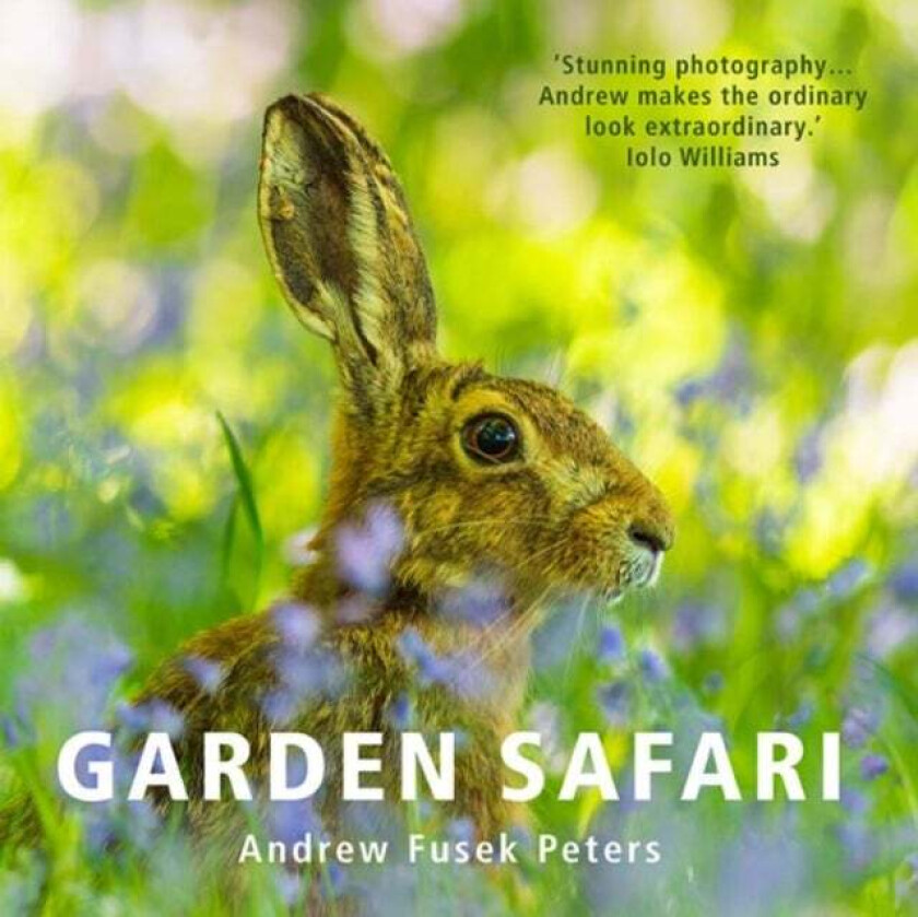 Garden Safari av Andrew Fusek Peters
