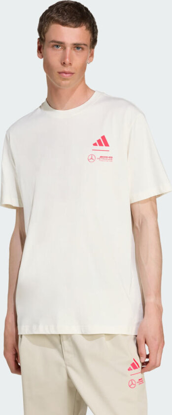 Mercedes - AMG Petronas Formula One Team Summer Graphic T-skjorte