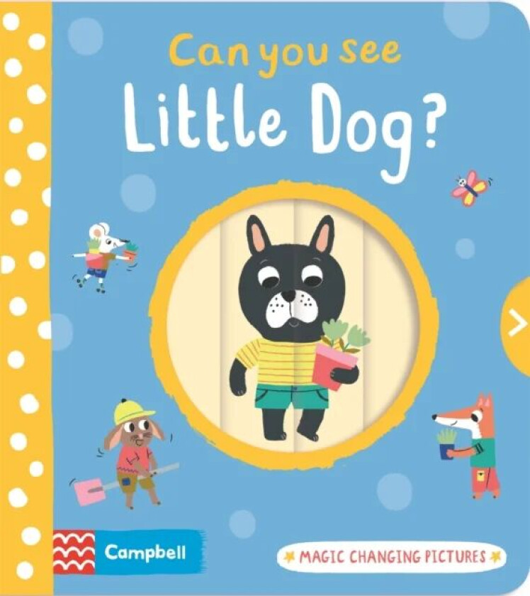 Can You See Little Dog? av Campbell Books