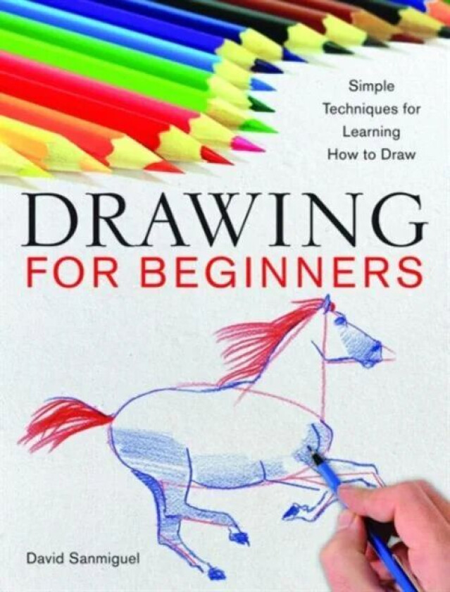 Drawing for Beginners av David Sanmiguel
