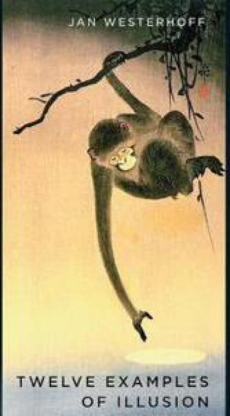 Twelve Examples of Illusion