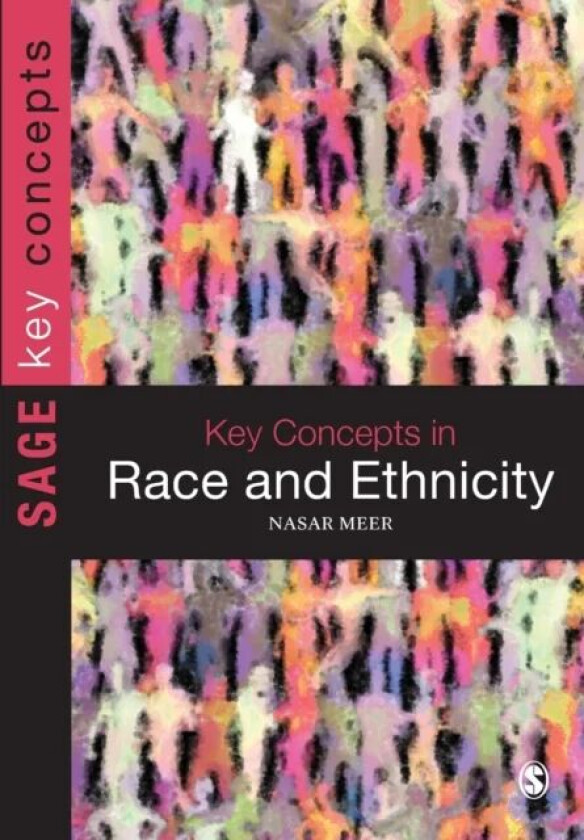 Key Concepts in Race and Ethnicity av Nasar Meer