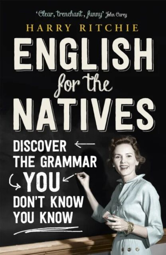 English for the Natives av Harry Ritchie