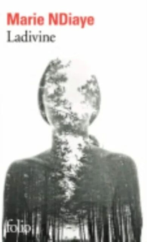 Ladivine av Marie Ndiaye