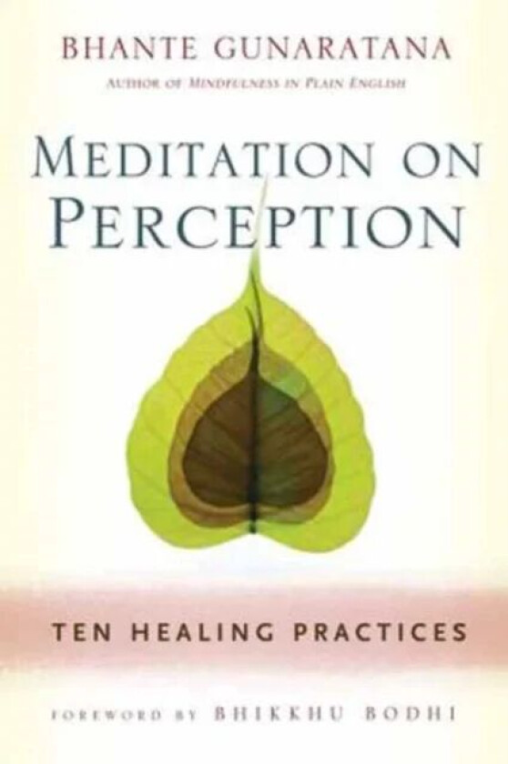 Meditation on Perception av Henepola Gunaratana