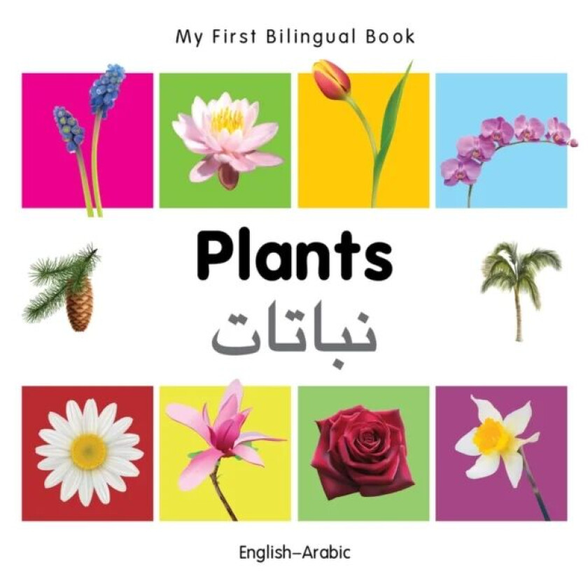 My First Bilingual Book - Plants - English-arabic av Milet