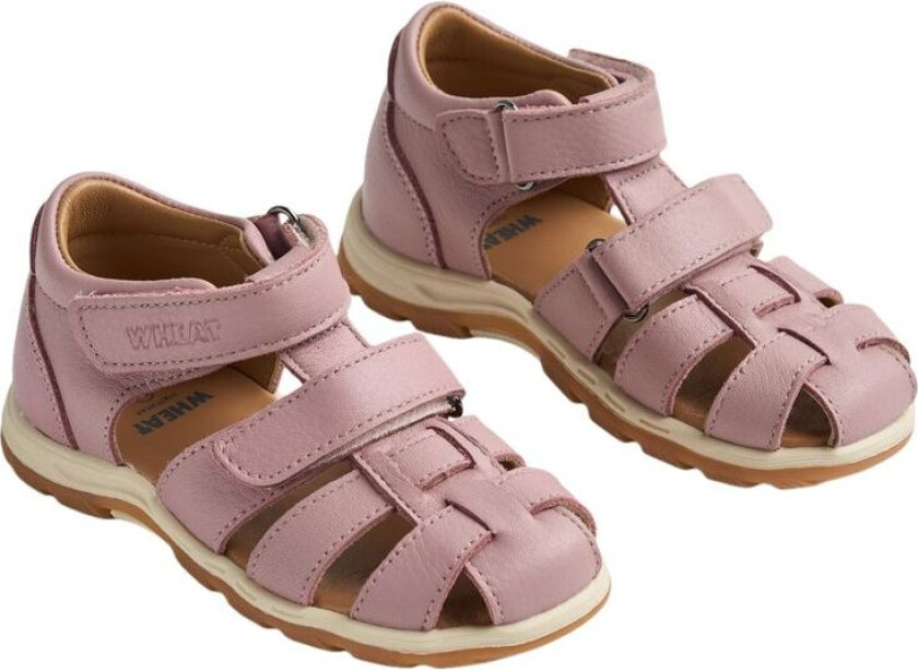 Frei Sandaler Rose Frost | Rosa | 24 EU