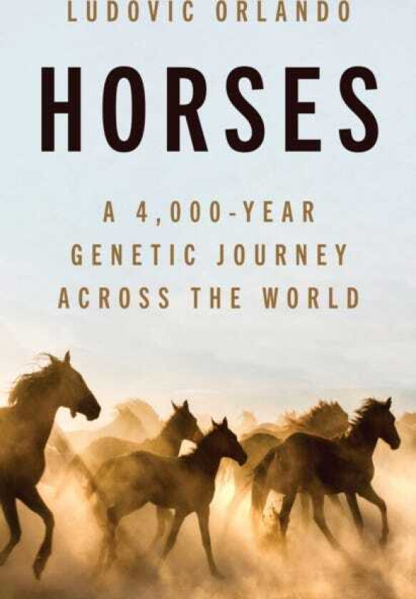 Horses A 4,000Year Genetic Journey Across the World