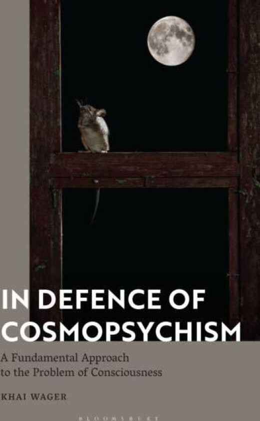 In Defence of Cosmopsychism A Fundamental Approach to the Problem of Consciousness