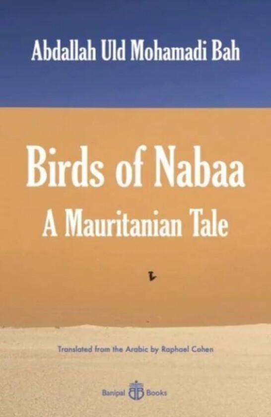 Birds of Nabaa av Abdallah Uld Mohamadi Bah