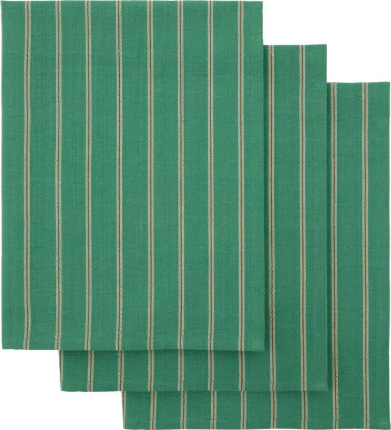 Cook kjøkkenhåndkle 55x75 cm 3-pakning Grønn