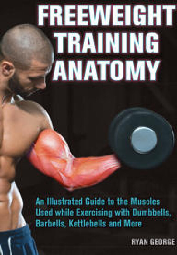 Freeweight Training Anatomy