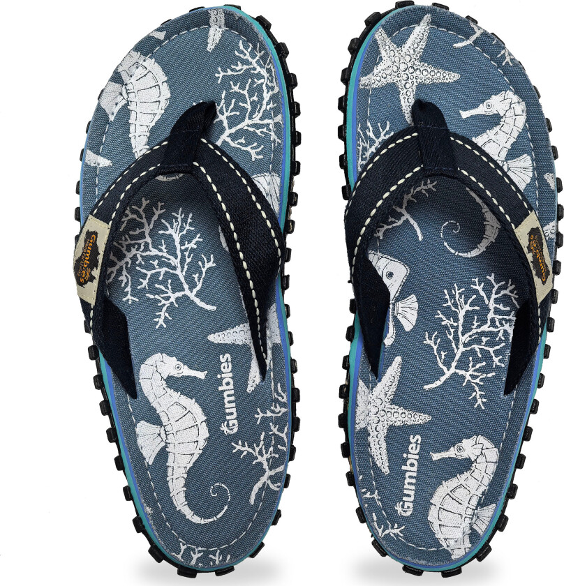 Unisex Islander Seahorse