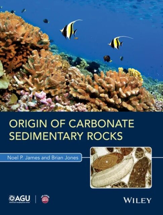 Origin of Carbonate Sedimentary Rocks av Noel P. James, Brian Jones