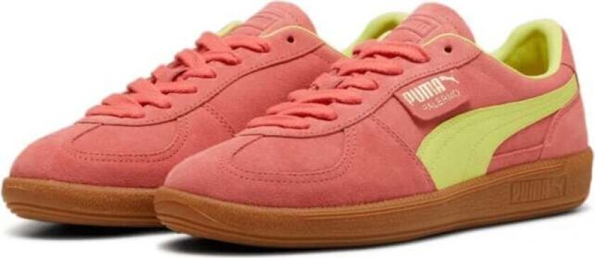 Sneakers - Palermo - EU36 til EU47 - Unisex - rød