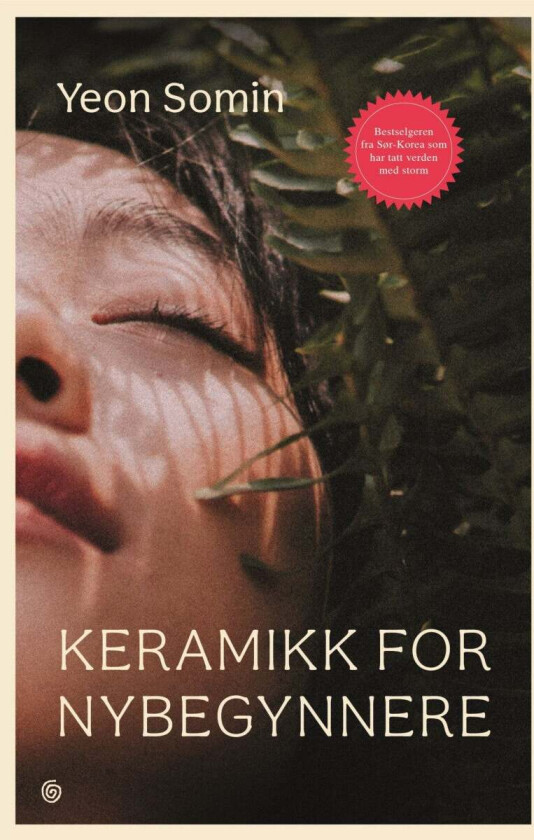 Keramikk for nybegynnere av So-min Yo¿n