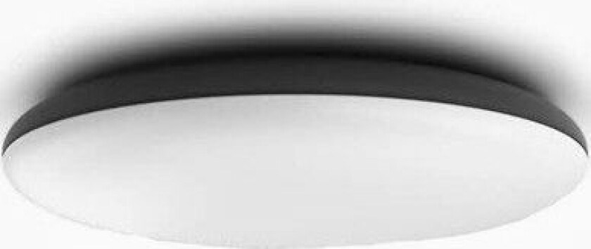 Hue Cher Hue ceiling lamp black 1x39W 24V