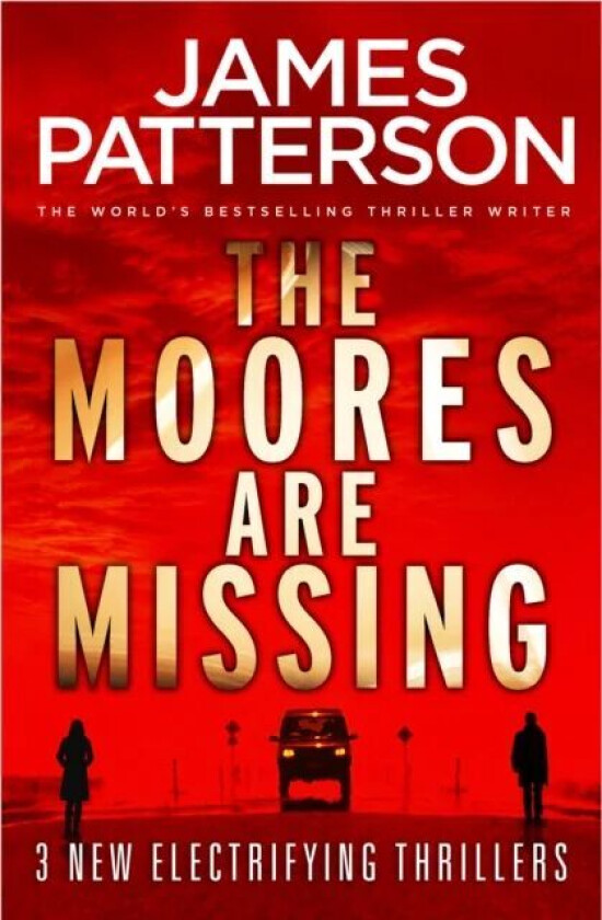 The Moores are Missing av James Patterson