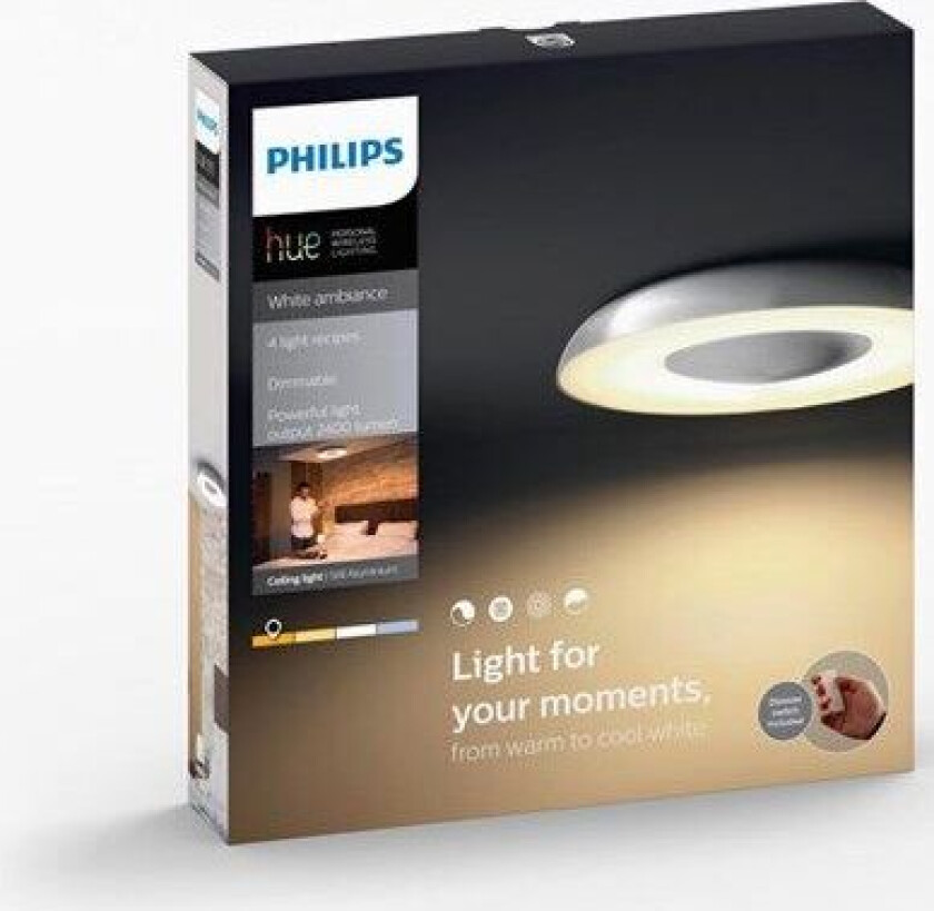 Hue Still ceiling lamp aluminium 1x40W 230V