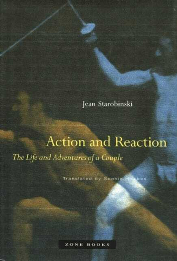 Action and Reaction The Life and Adventures of a Couple