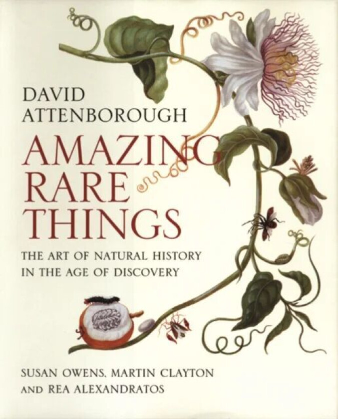 Amazing Rare Things av David Attenborough, Susan Owens, Martin Clayton, Rea Alexandratos