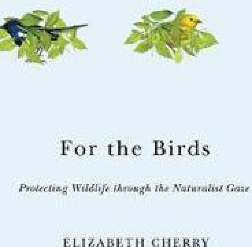 For the Birds