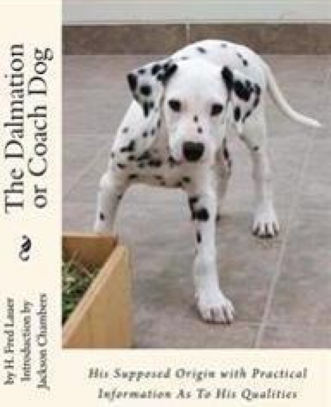 The Dalmation or Coach Dog: His Supposed Origin with Practical Information As To His Qualities
