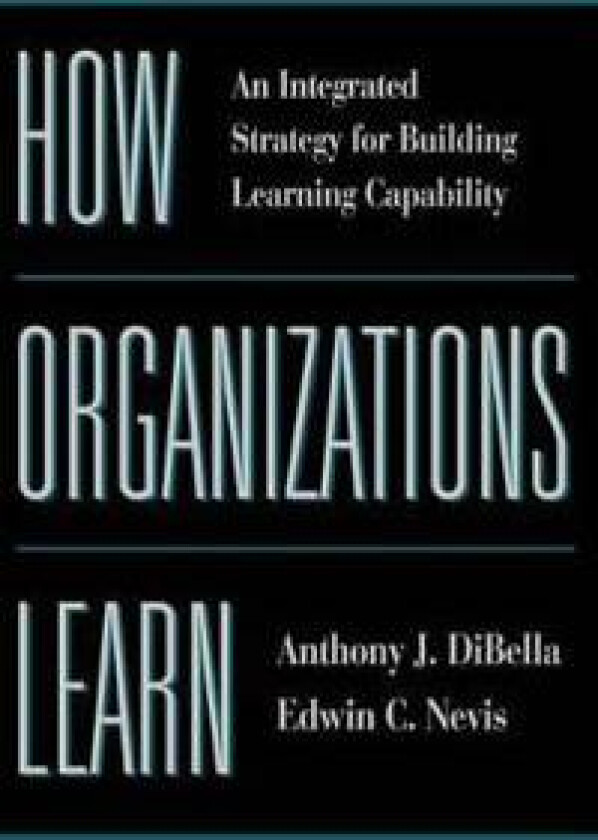 How Organizations Learn