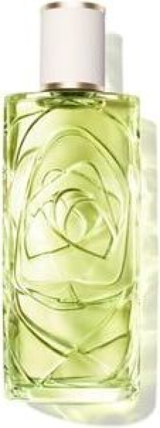 Off Now Edt 100ml