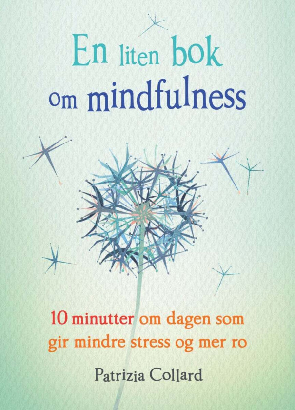 En liten bok om mindfulness av Patrizia Collard