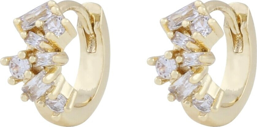 Envy Small Irregular Earring Gold/Clear Onesize