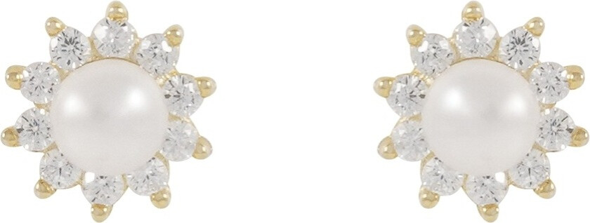 Line Pearl Earring Gold/White Onesize