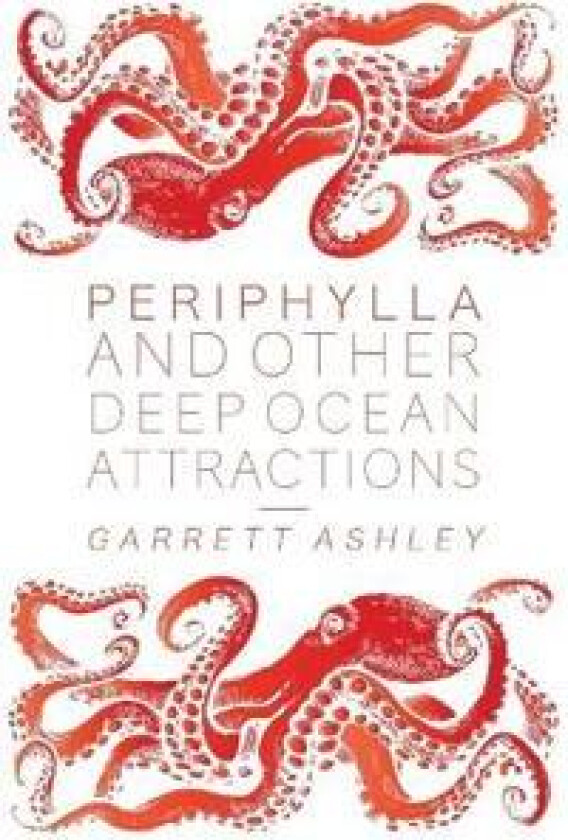 Periphylla, and Other Deep Ocean Attractions