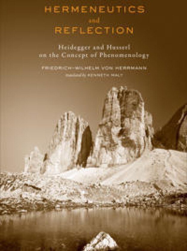 Hermeneutics and Reflection