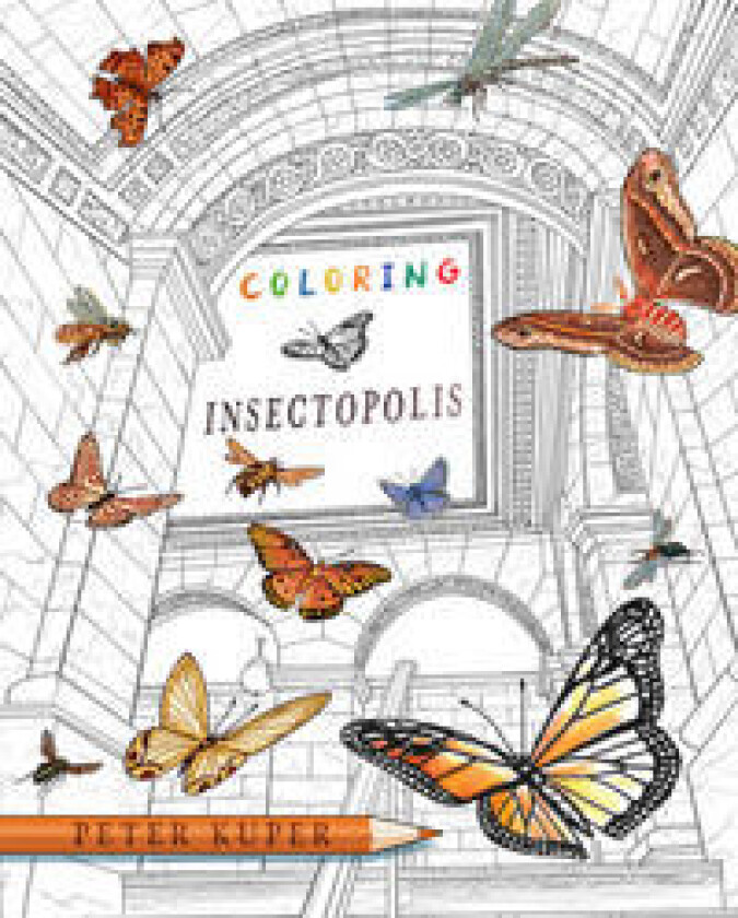 Coloring Insectopolis