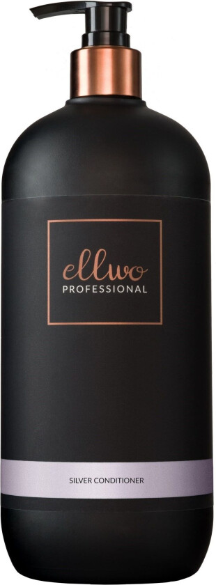 Silver Silver Conditioner 1000 ml